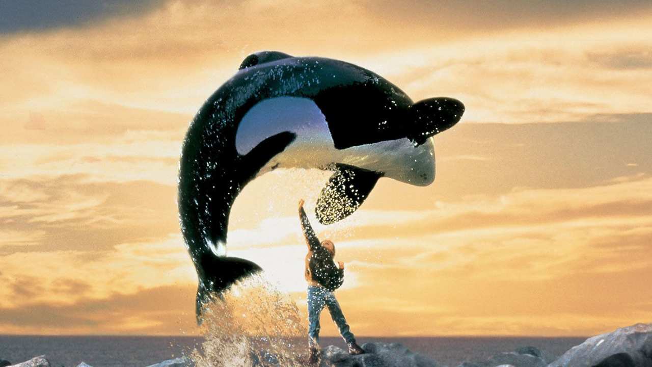 a whale and a boy