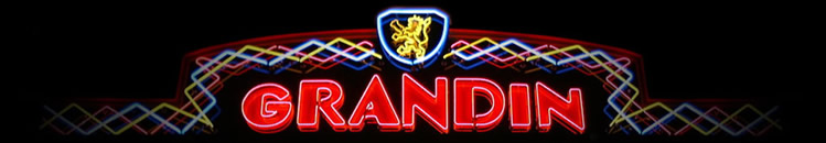 Organization Logo