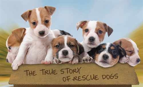 Free-Puppies_main_thumb.jpg