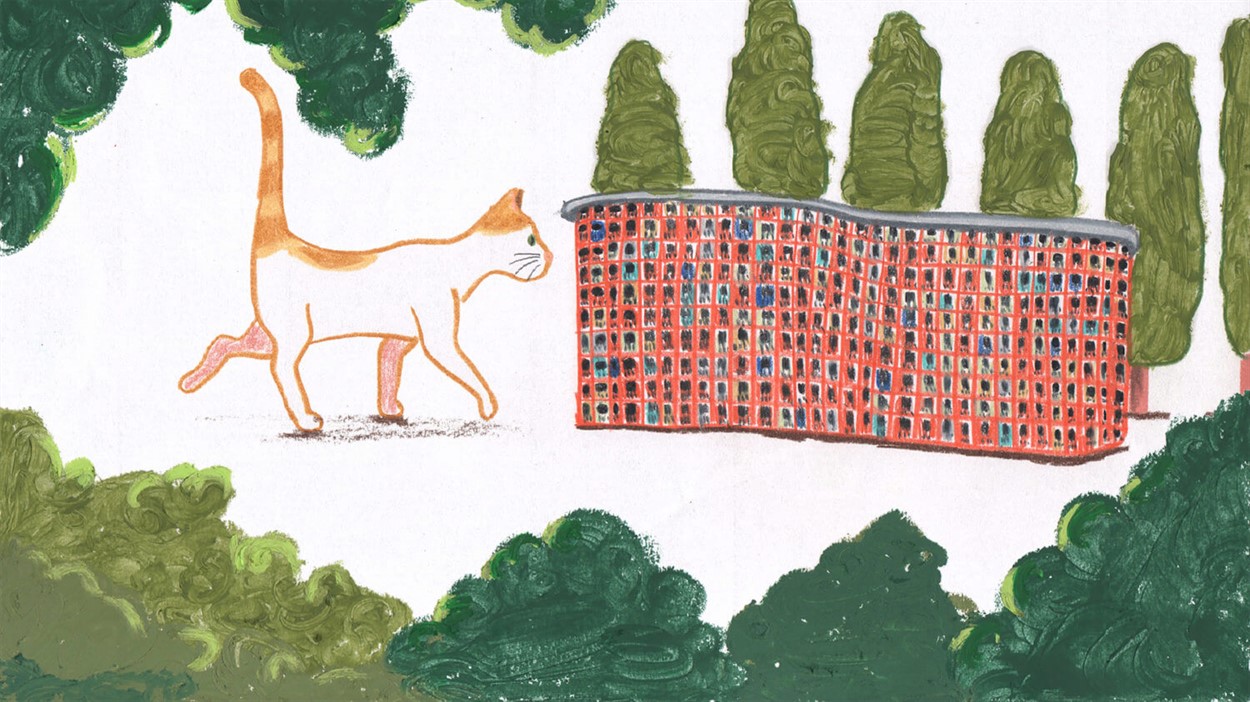 The Cat in the Art Park 