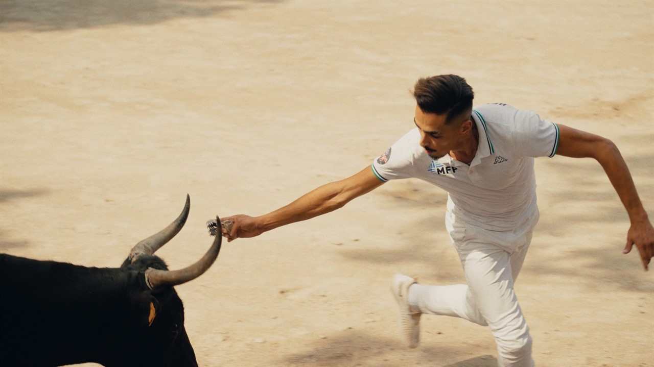 Man reaching for a bull's horn