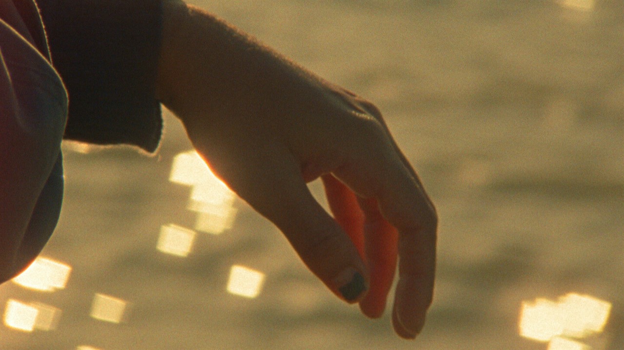 Closeup of a hand