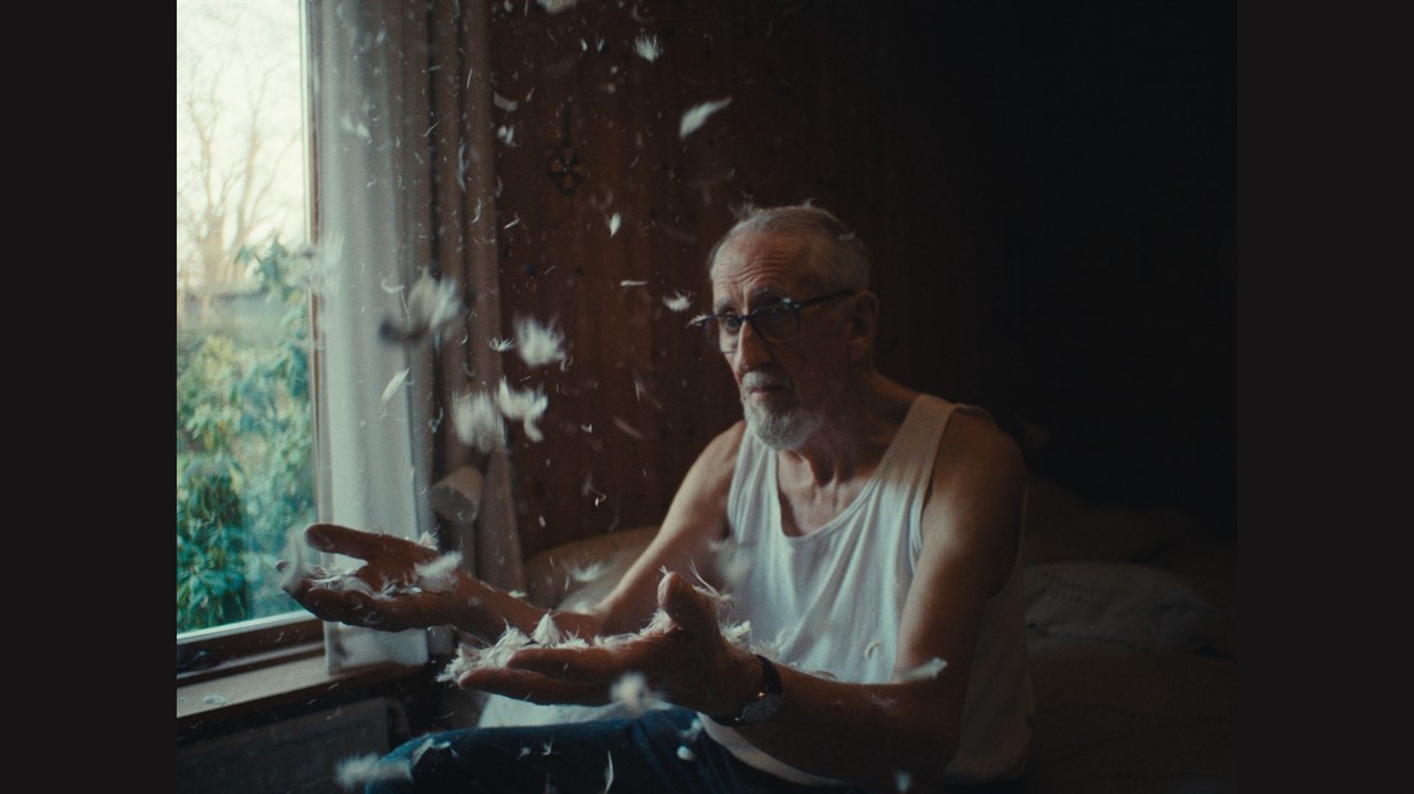 An elderly man surrounded by feathers