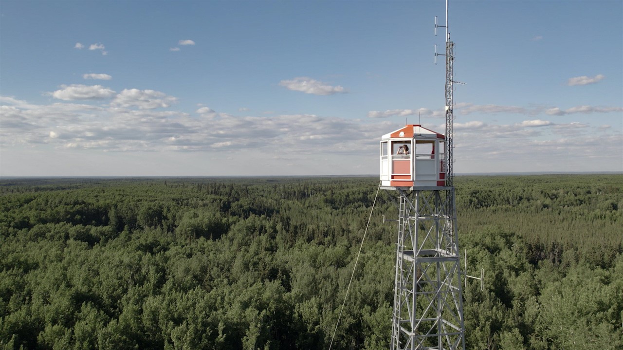 Fire tower high above a forest