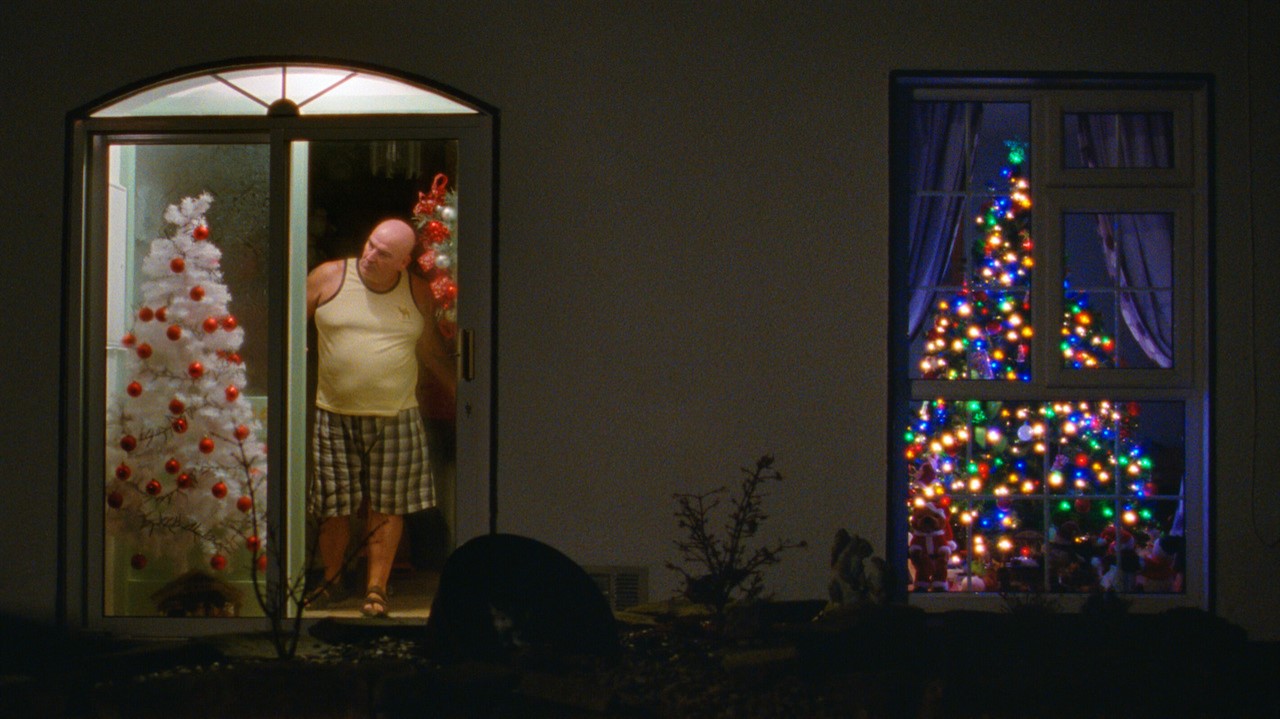 Man standing in doorway, Christmas tree on either 