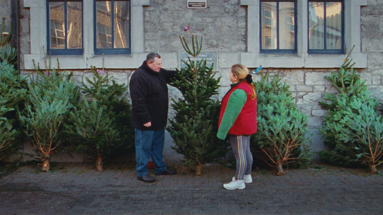 Two people discussing Christmas trees