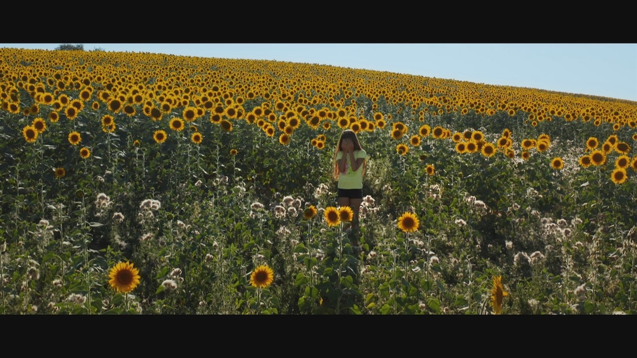 Child standing in a field of sunflowers