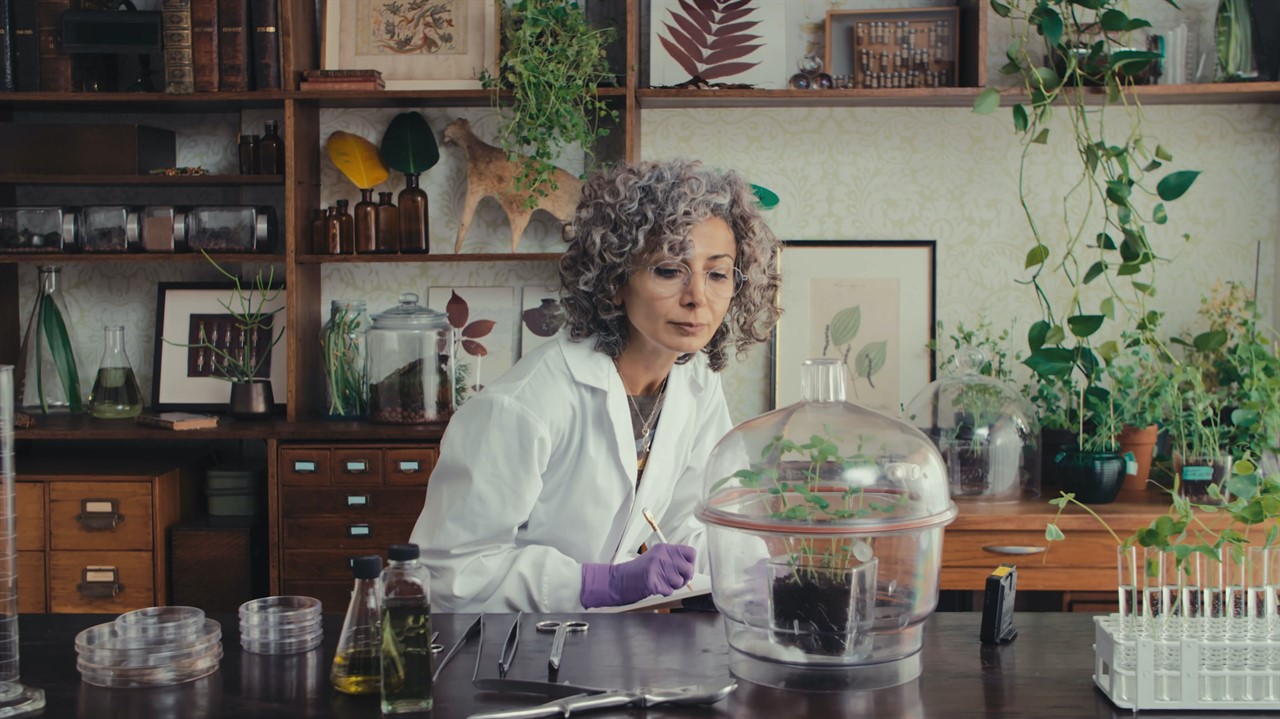 Scientist examining a plant
