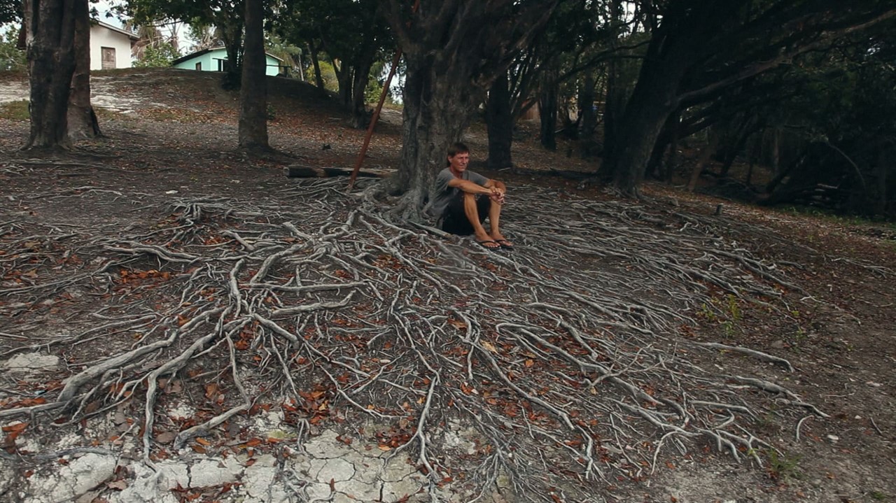 Man sits among tree roots