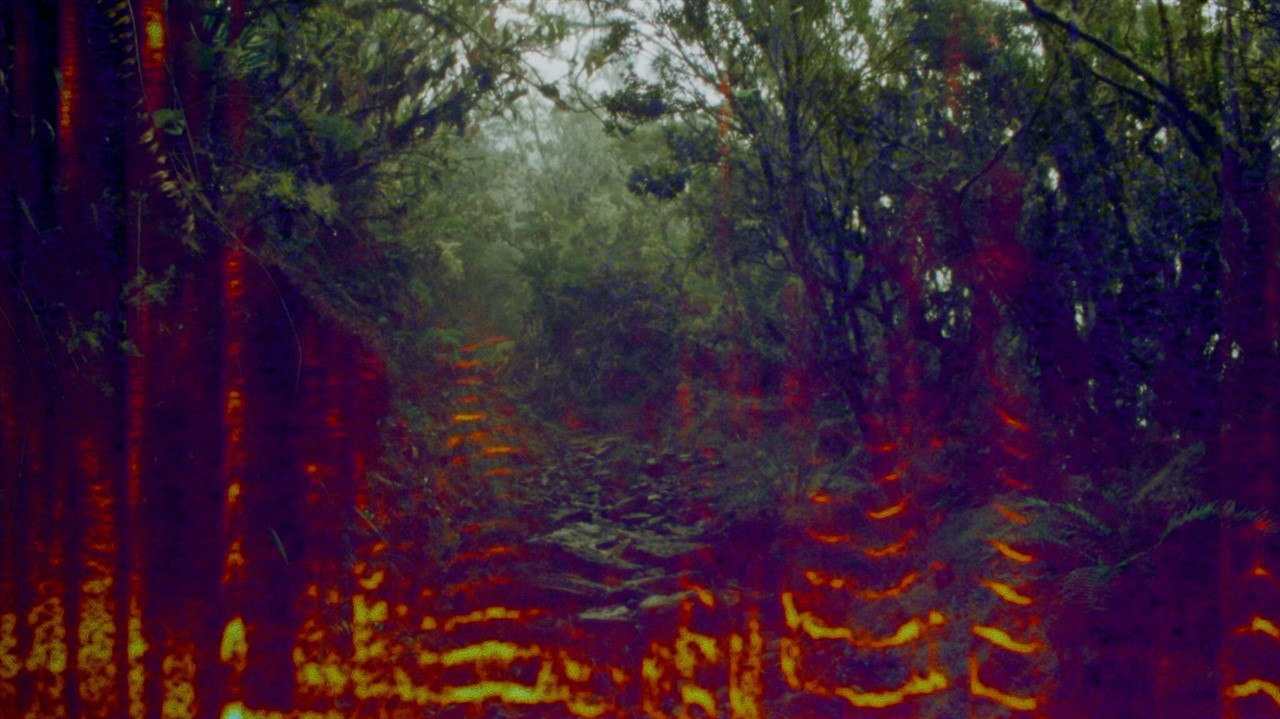 Forest overlaid with flames