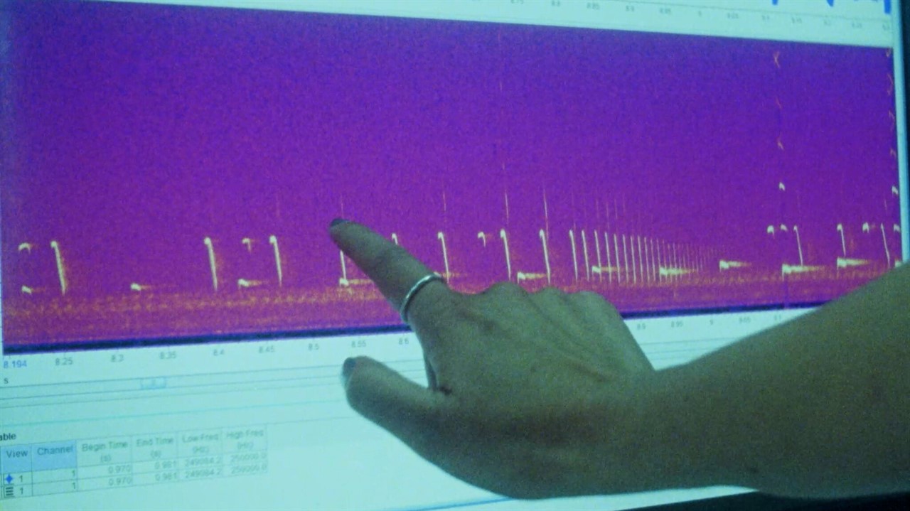 Hand pointing at a screen of thermal readings