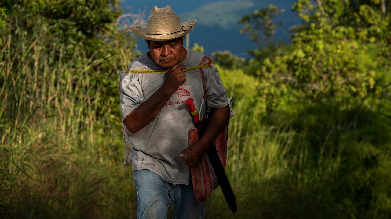 Man with machette walks through a tall grass field