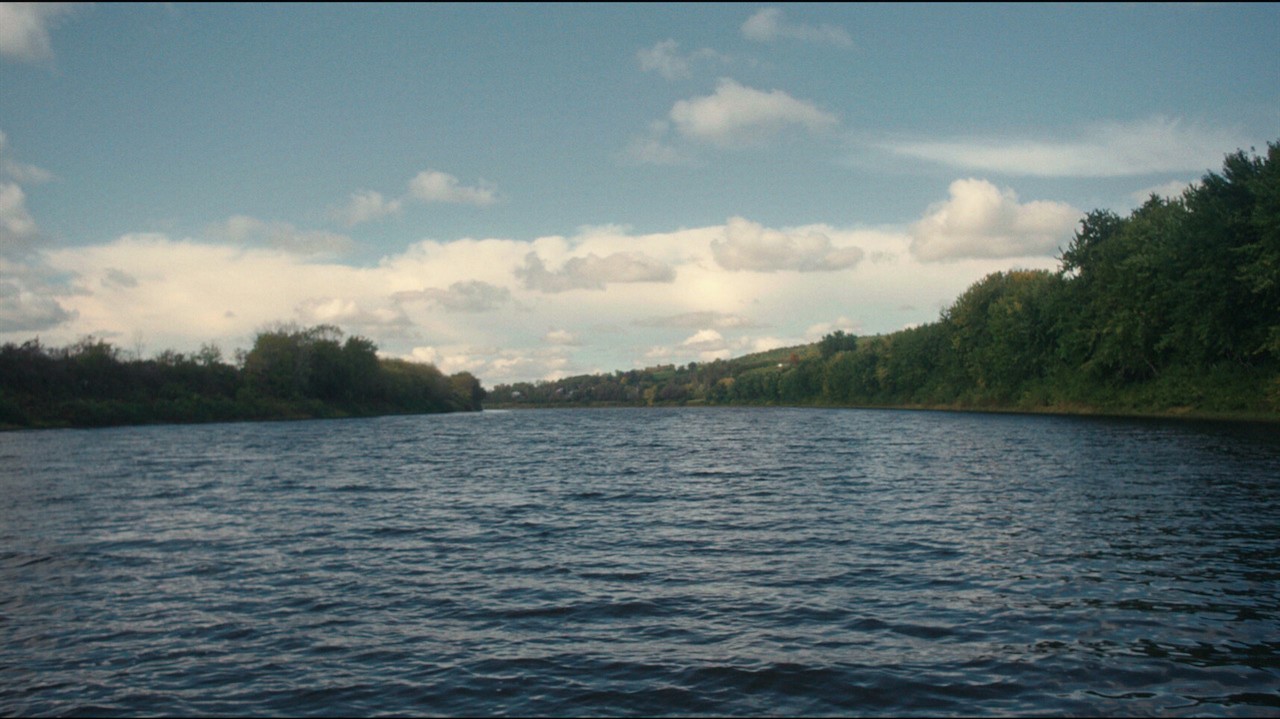 Lake with trees on the shore