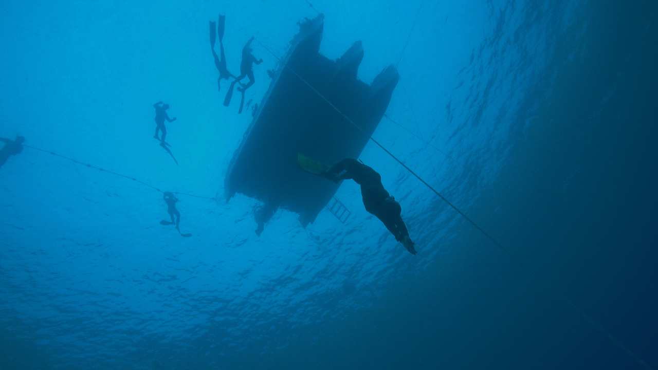 a group of people diving underwater