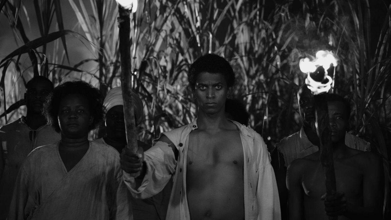 a group of people with torches amidst tall foliage
