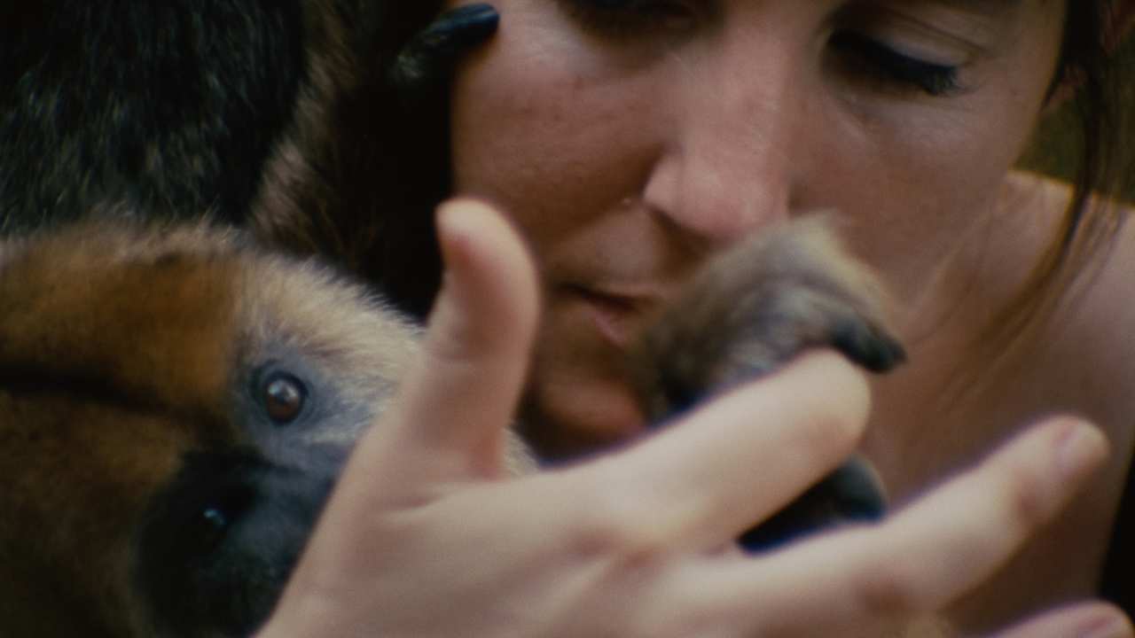 a woman touching a monkey's paw