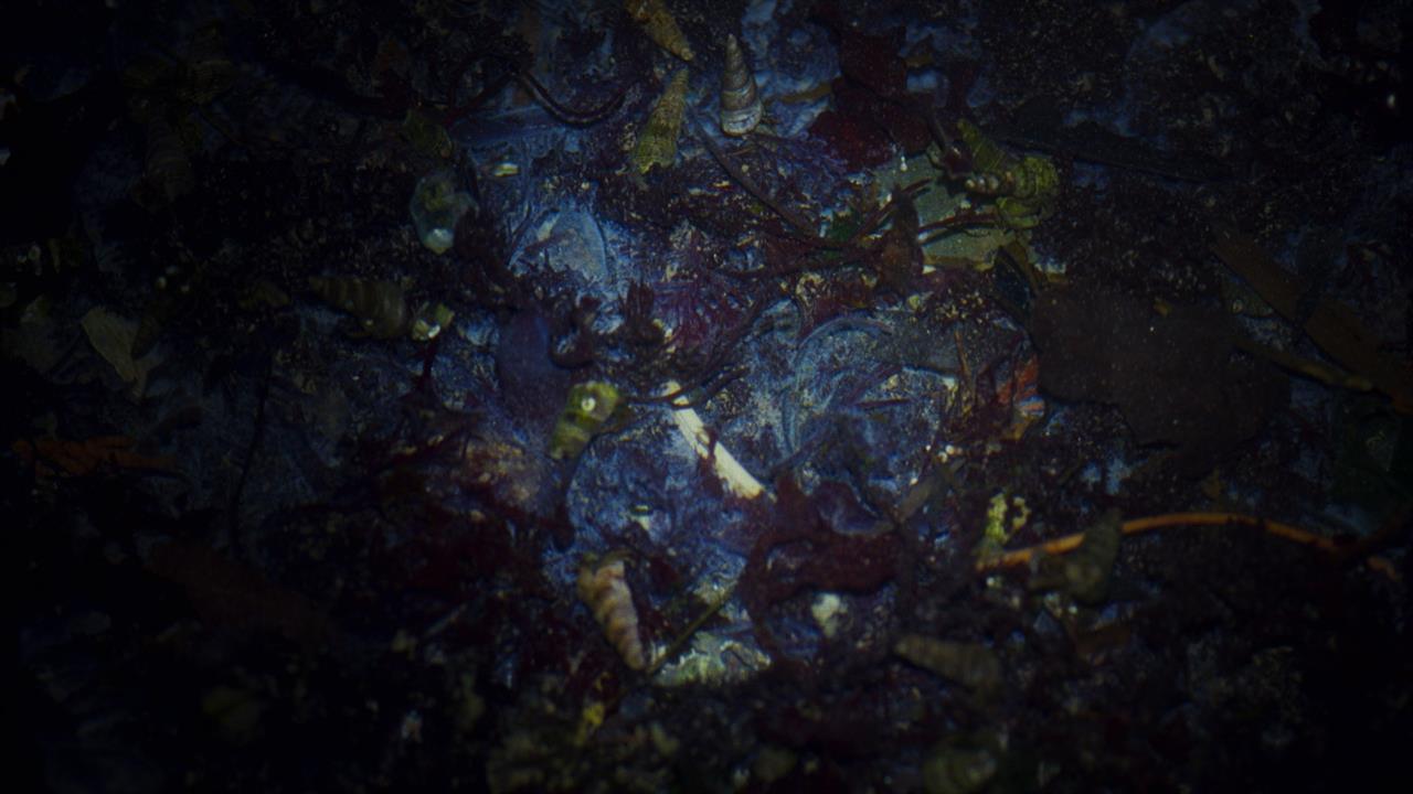 Kaleidesopic blues and yellows