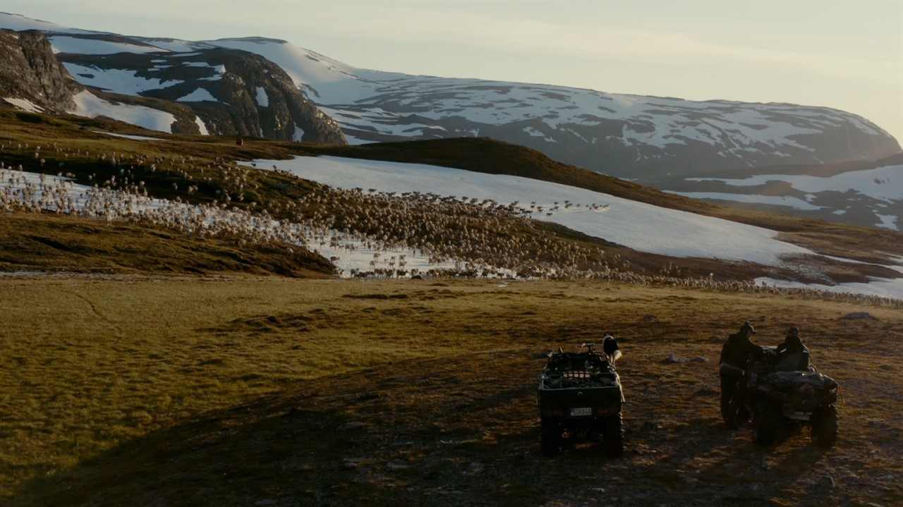 Truck and jeep parked on a grassy hill