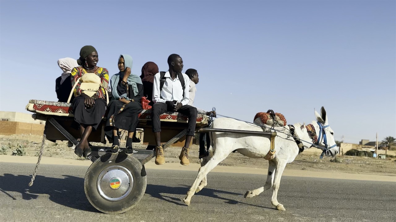 a group of people sit on a cart pulled by a donkey