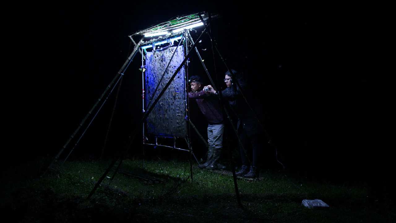 two people looking at a screen under a light