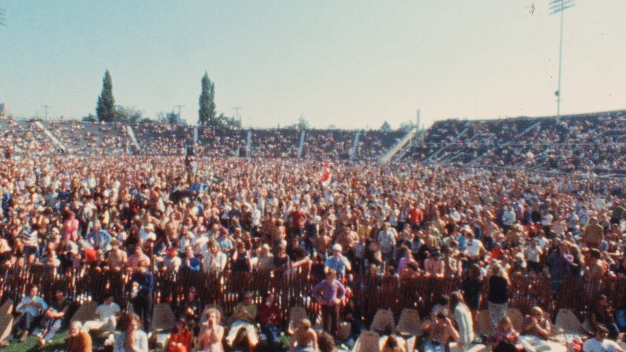 crowds at an outdoor concert