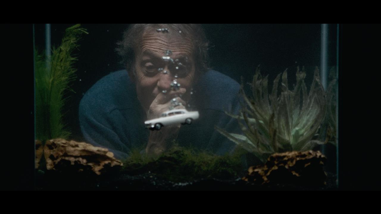 Man looking at toy car in fish tank