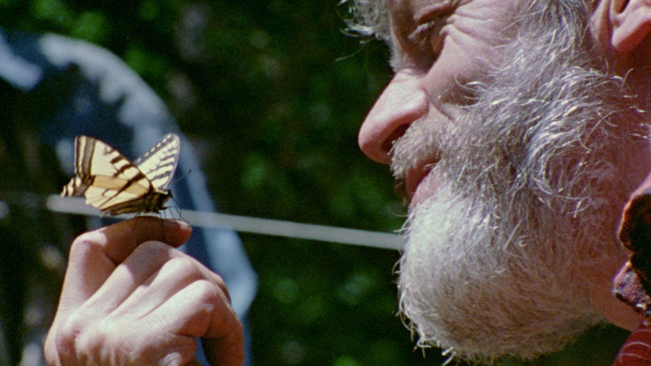 a man with a beard looking at a butterfly