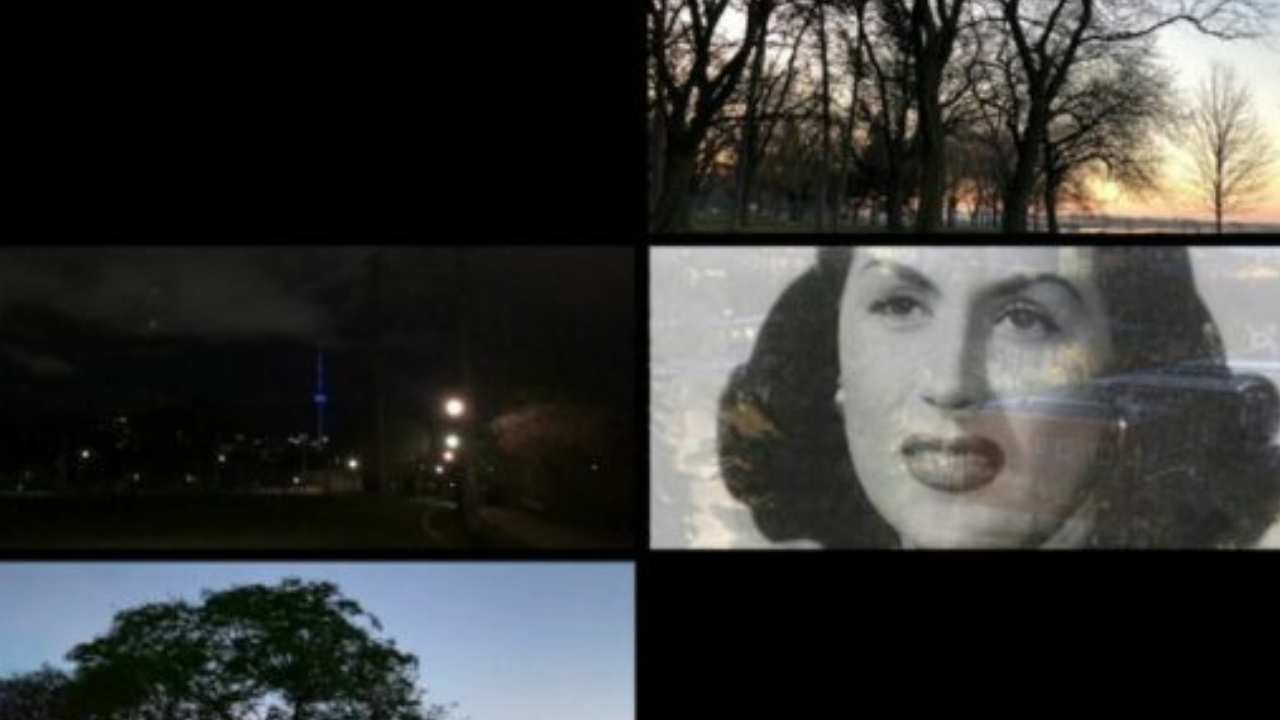 collage of trees, street lights and a woman
