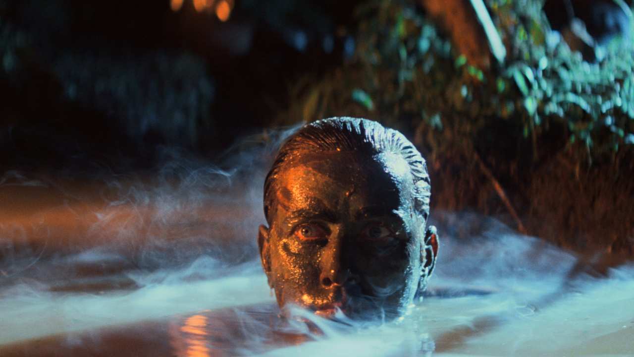 Martin Sheen's face covered in mud in the water