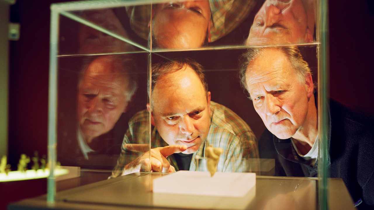 two men looking at a display enclosed in glass