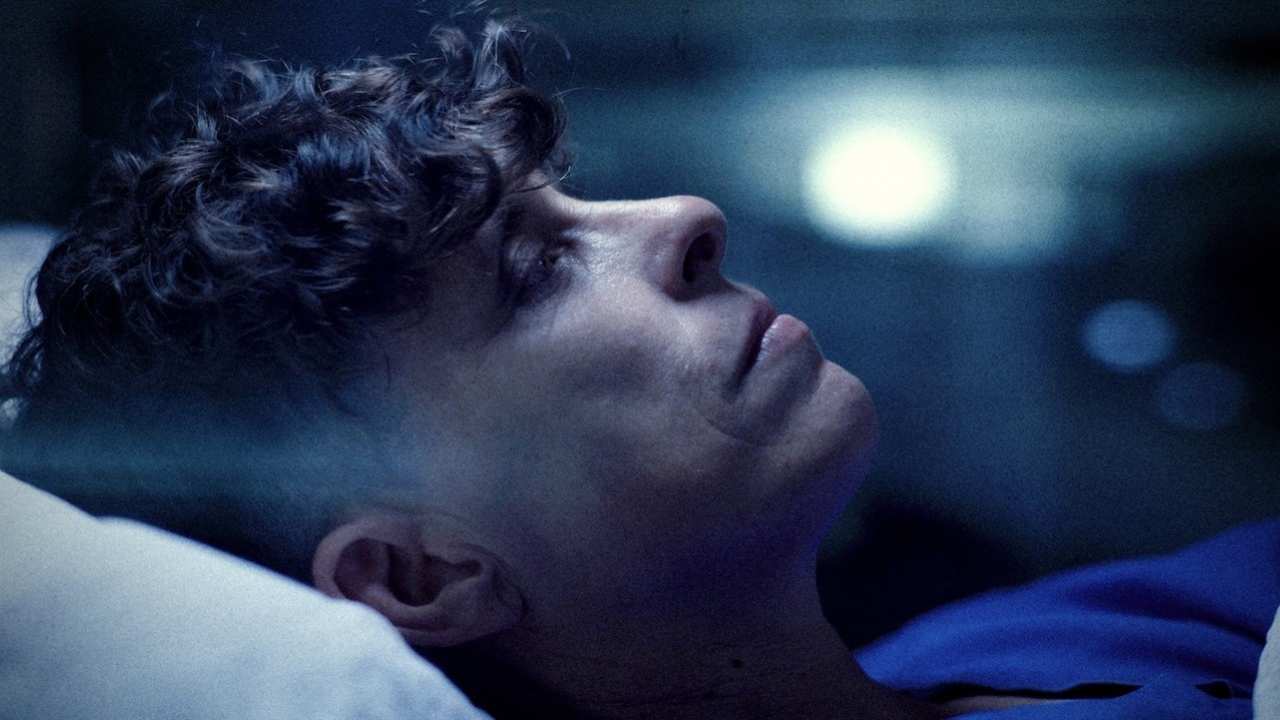 closeup of a person with curly hair