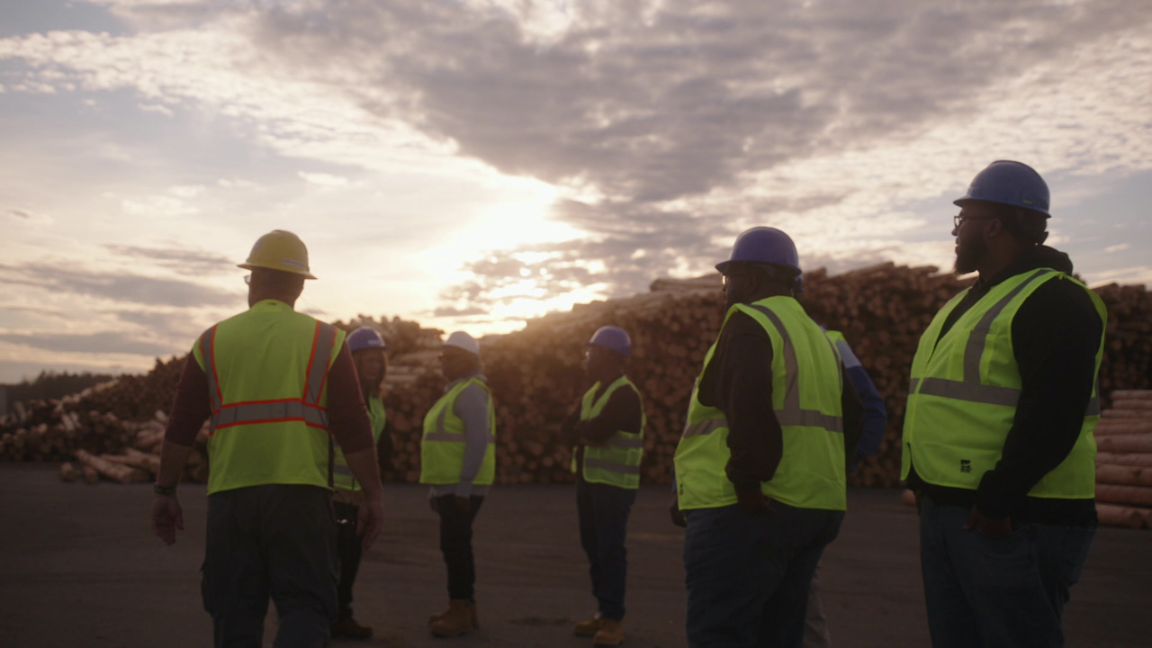 People in hi-vis vests beside a pile of logs