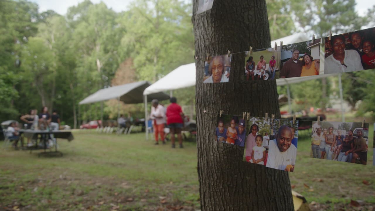 Photos hanging from string between trees