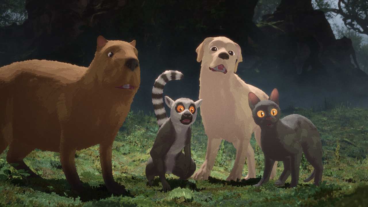 a cat, dog, beaver and a lemur