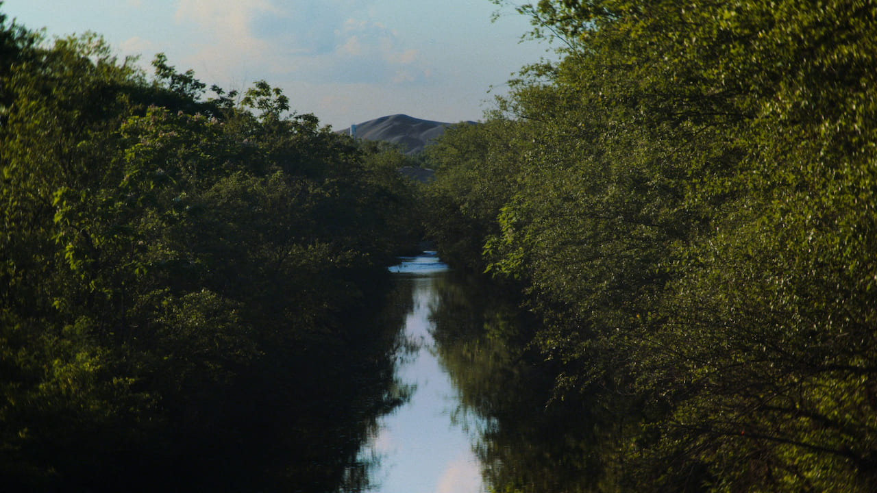 A calm river surrounded by trees