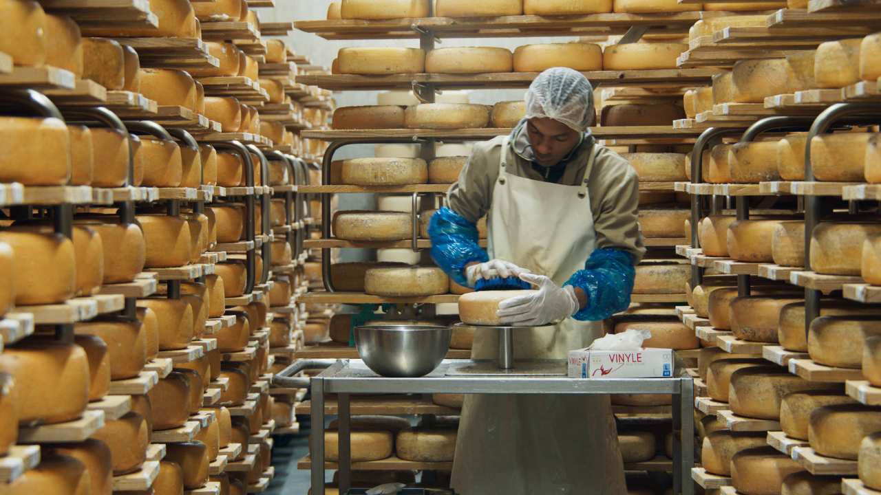 a person shaping wheels of cheese