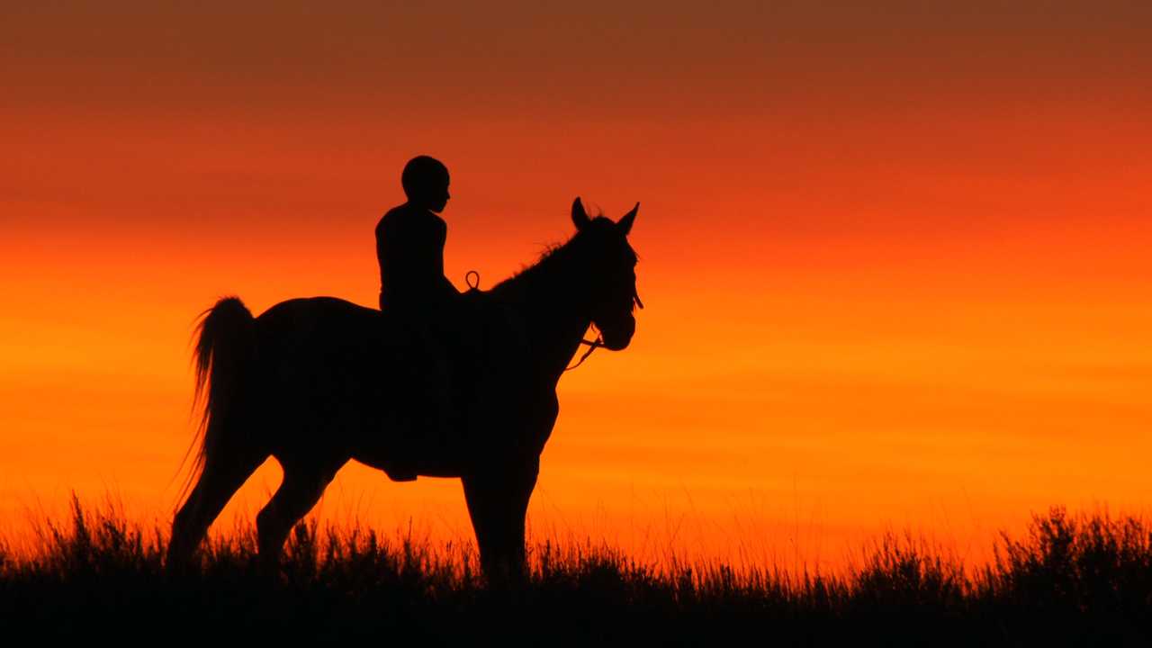 silhouette of a person on a horse at sunset