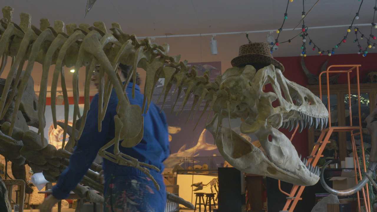 a dinosaur skeleton in a museum with a hat