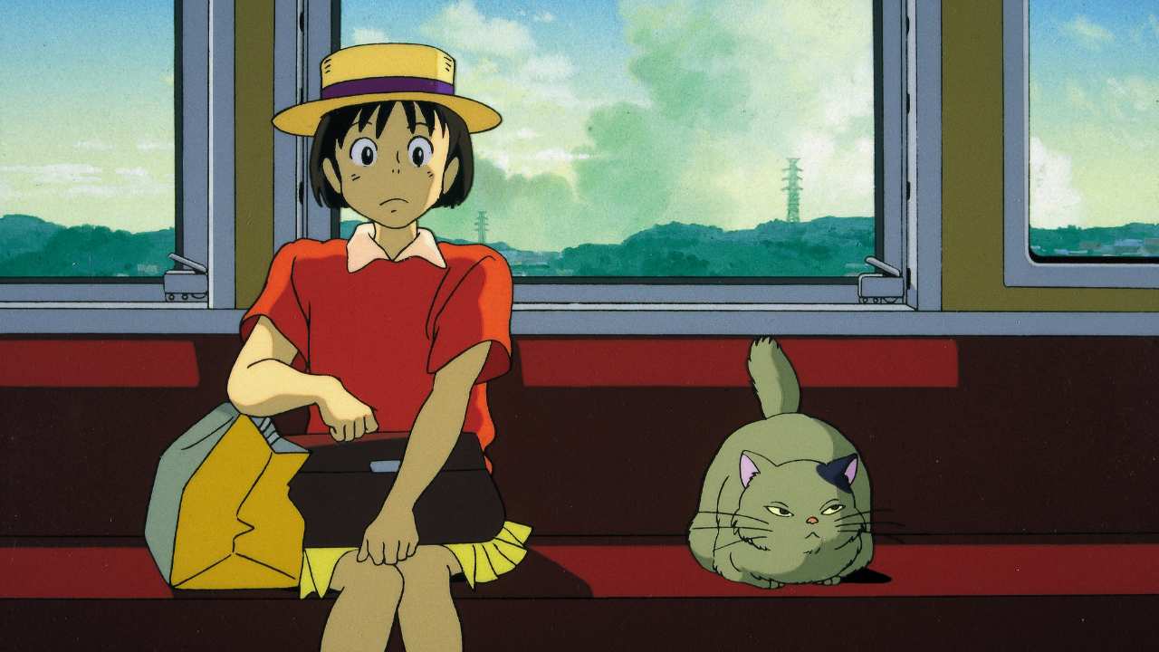 a girl with a hat sitting on a train with a cat