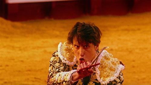 Afternoons of Solitude