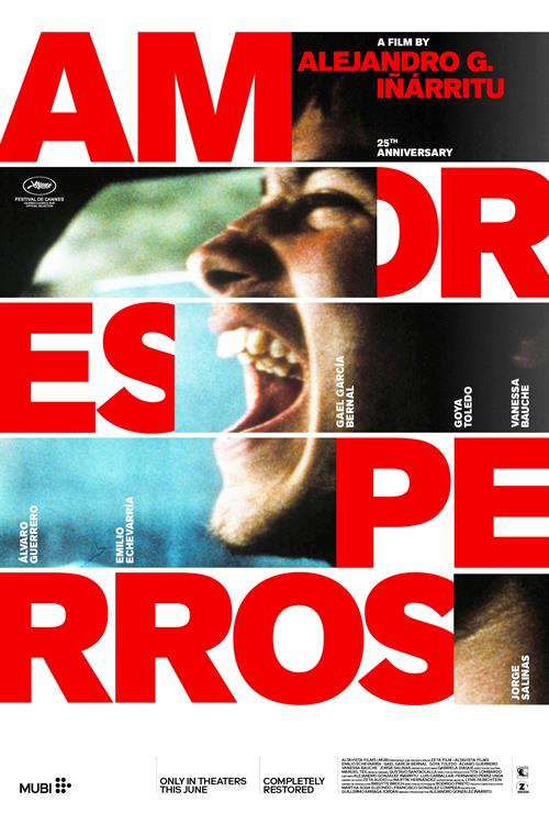 amoresperros_thumb.jpg
