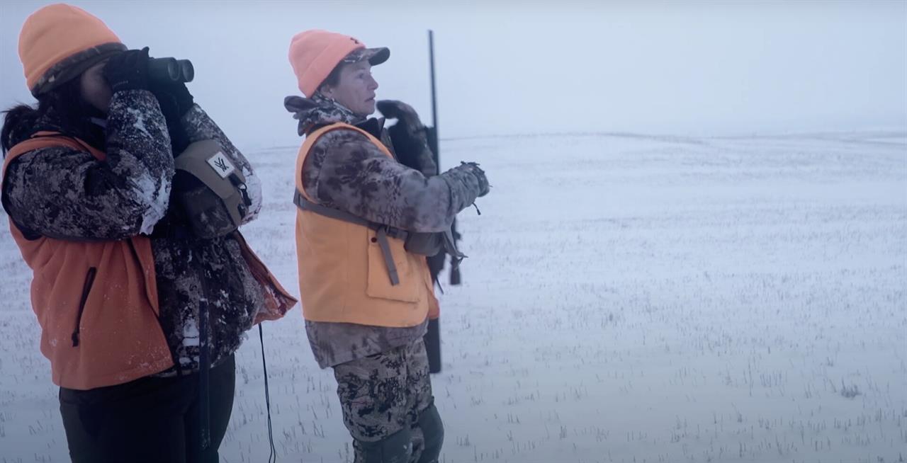 Spectrum of Consumption