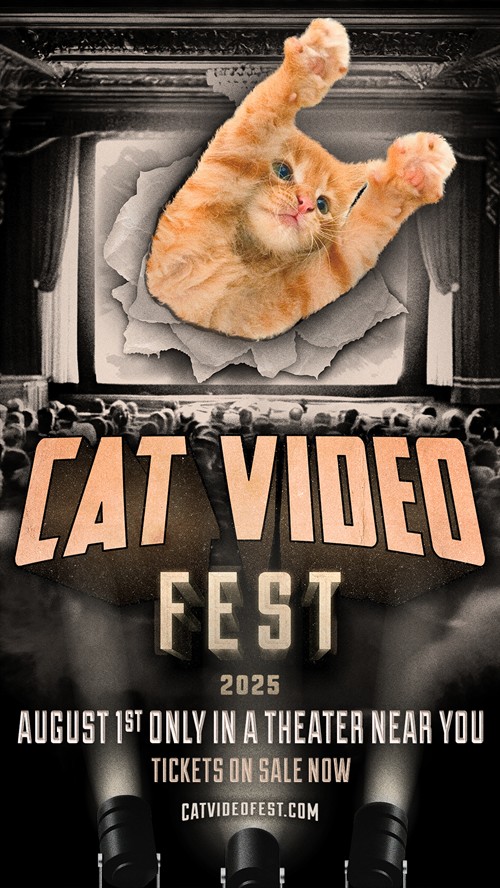 CatVideoFest 2025