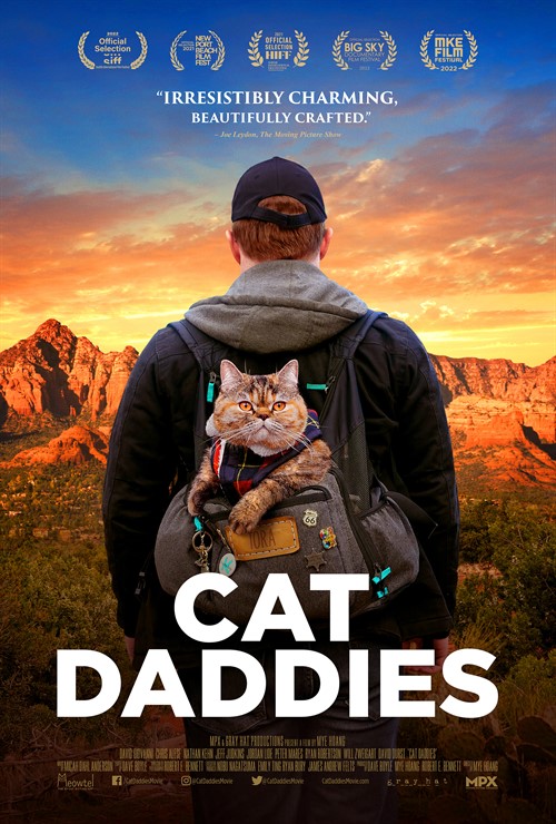 Cat Daddies Trailer