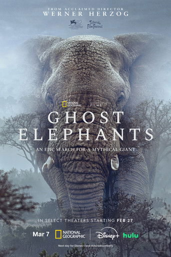 Ghost Elephants Trailer