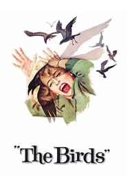 The Birds Trailer