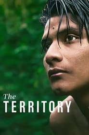 The Territory Trailer