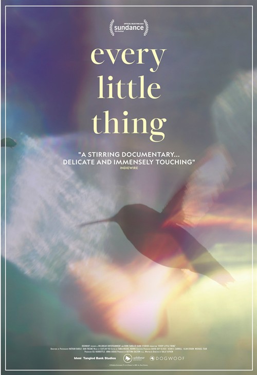 Every Little Thing poster