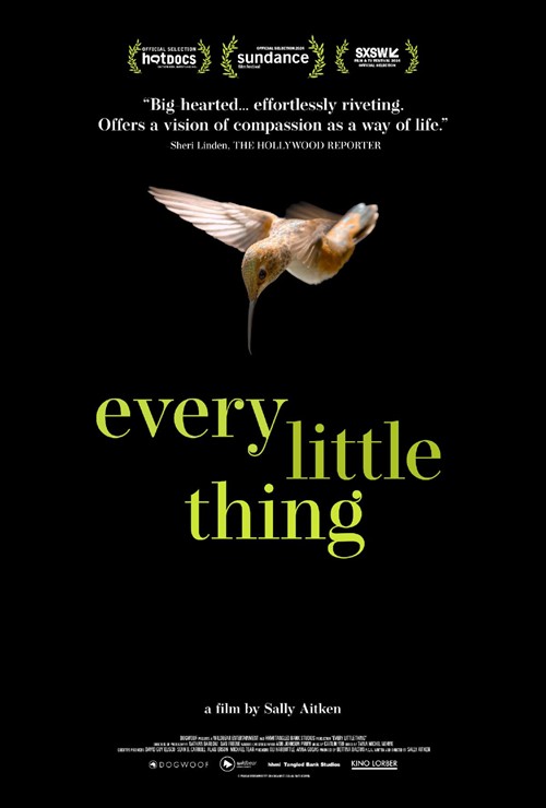 Every Little Thing poster